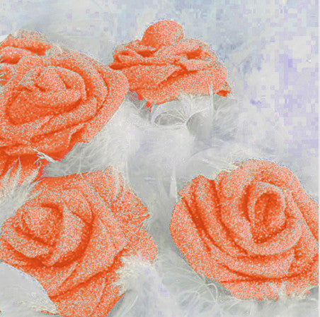 Peach Glitter ROSES